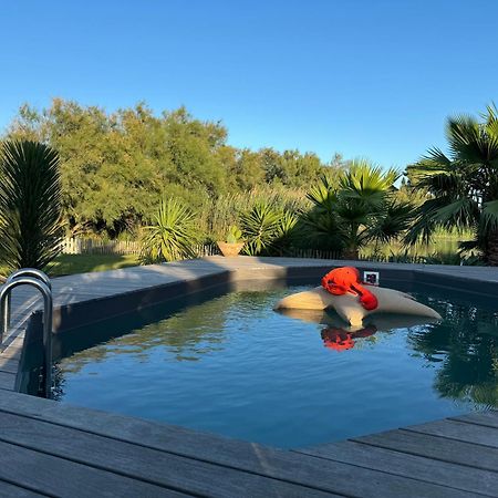 Cabane Le Flamant Avec Jardin, Piscine Et Parking Saintes-Maries-de-la-Mer Bagian luar foto
