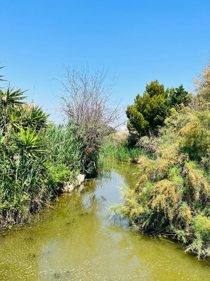 Cabane Le Flamant Avec Jardin, Piscine Et Parking Saintes-Maries-de-la-Mer Bagian luar foto