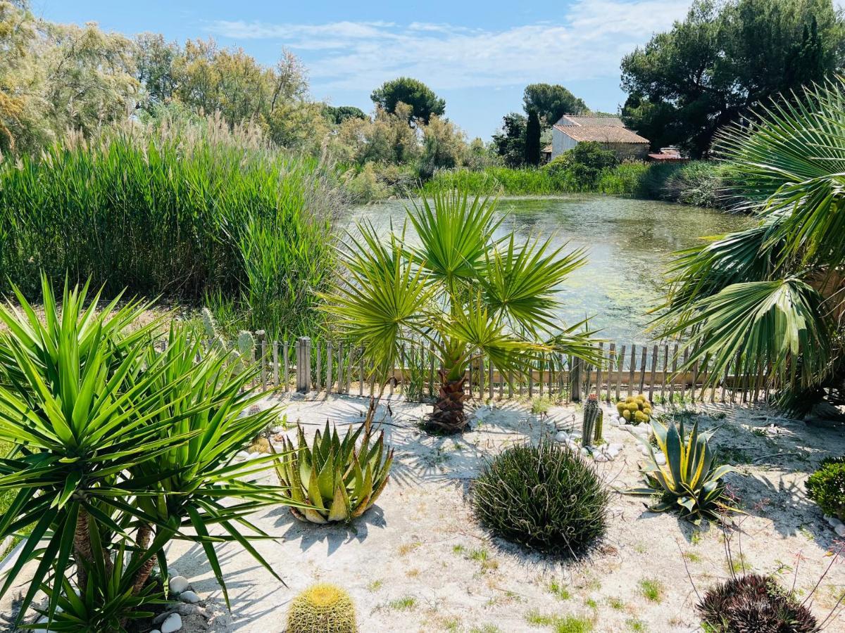 Cabane Le Flamant Avec Jardin, Piscine Et Parking Saintes-Maries-de-la-Mer Bagian luar foto