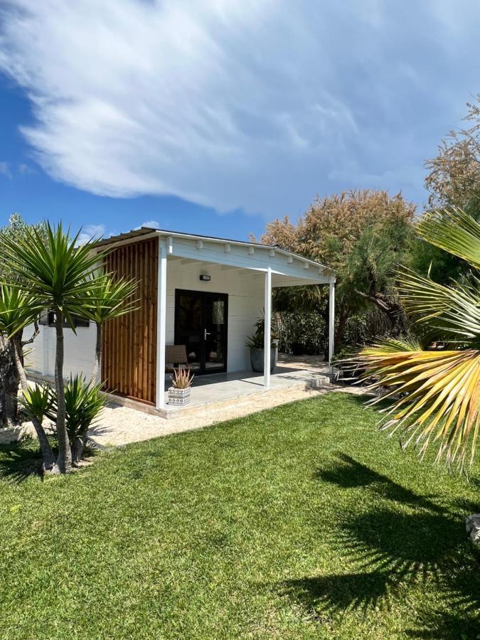 Cabane Le Flamant Avec Jardin, Piscine Et Parking Saintes-Maries-de-la-Mer Bagian luar foto