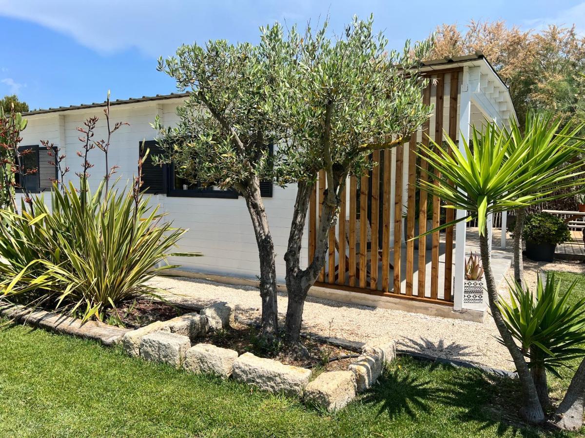 Cabane Le Flamant Avec Jardin, Piscine Et Parking Saintes-Maries-de-la-Mer Bagian luar foto
