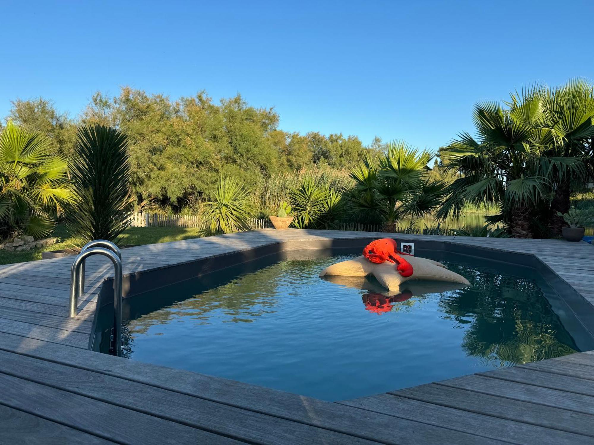 Cabane Le Flamant Avec Jardin, Piscine Et Parking Saintes-Maries-de-la-Mer Bagian luar foto